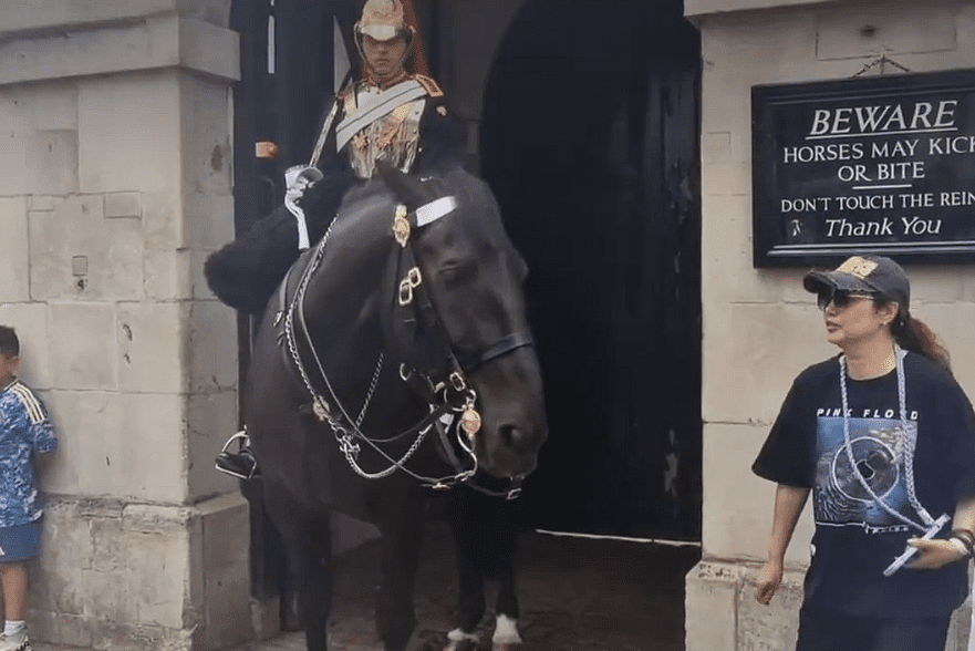 Tourist collapses after King’s Guard horse bites her during photo attempt